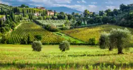 Agriturismo in der Toskana