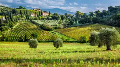 Agriturismo in der Toskana
