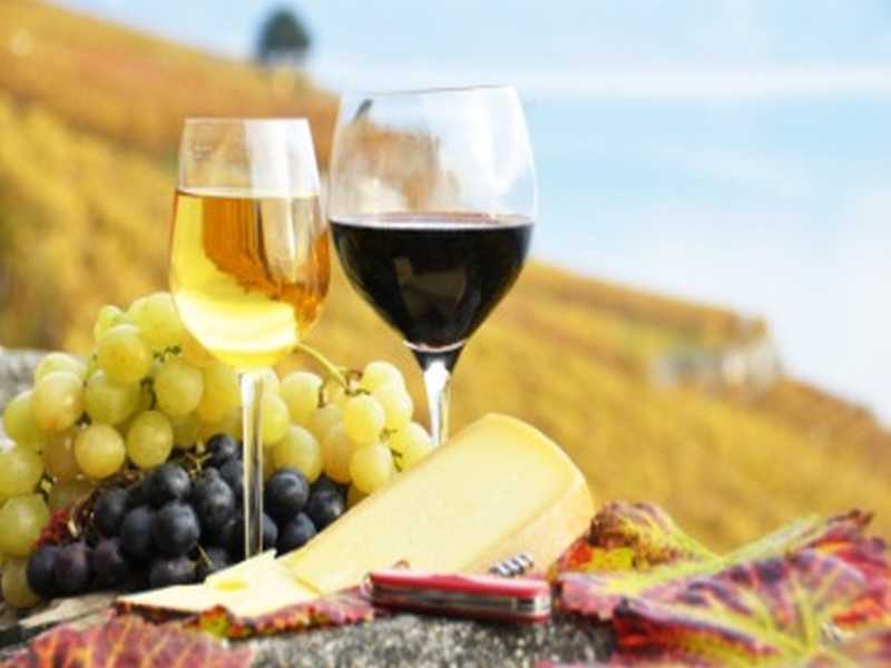 Wein in der Toskana